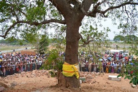 Next Nabakalebara Date