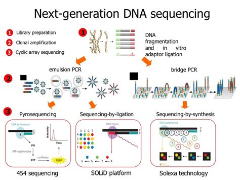 Read Next Generation Sequencing Data Analysis 