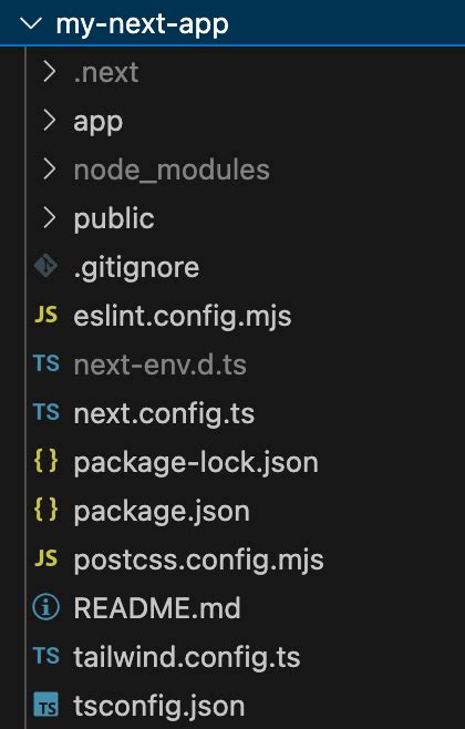 next.js 目录结构
