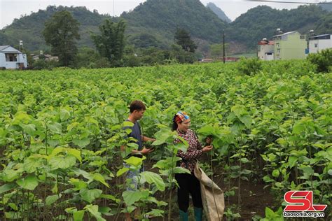 nghề | Danh sch 181 tt c cc ngnh