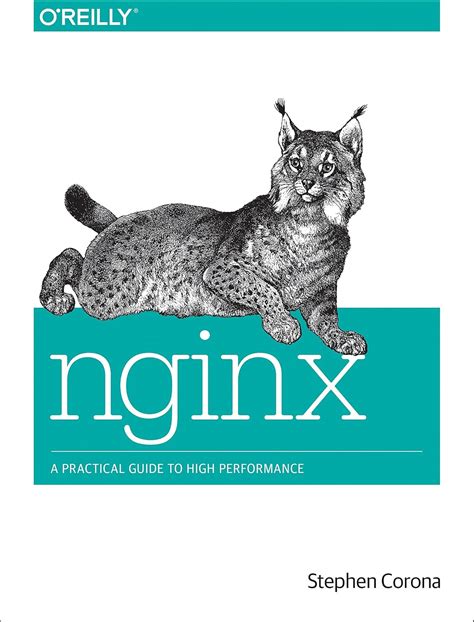 Read Online Nginx A Practical Guide To High Performance 