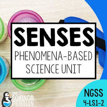 Ngss Amp Phenomena In Science 4th And 5th 5th Grade Ngss - 5th Grade Ngss