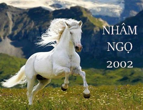 nhâm ngọ 2002 | Nhm Ng 2002 mnh g Hp vi