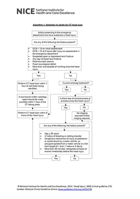 Nice Ct Head Guidelines