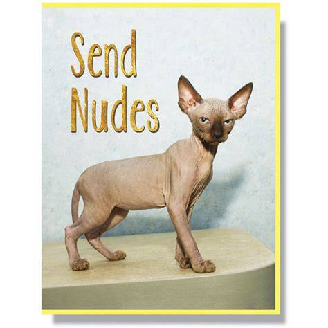 nice tit nudes