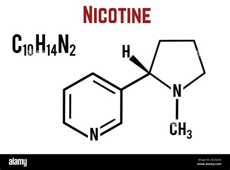 Nicotine molecule
