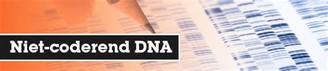 niet-coderend DNA