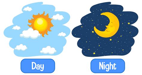 night and day 뜻