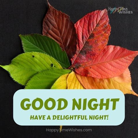 Night Fall Is Good Or Bad