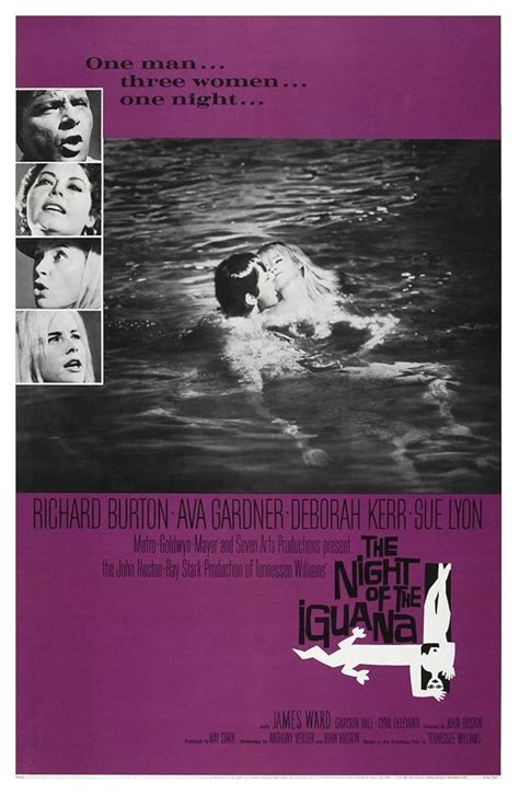 Night Of The Iguana Plot