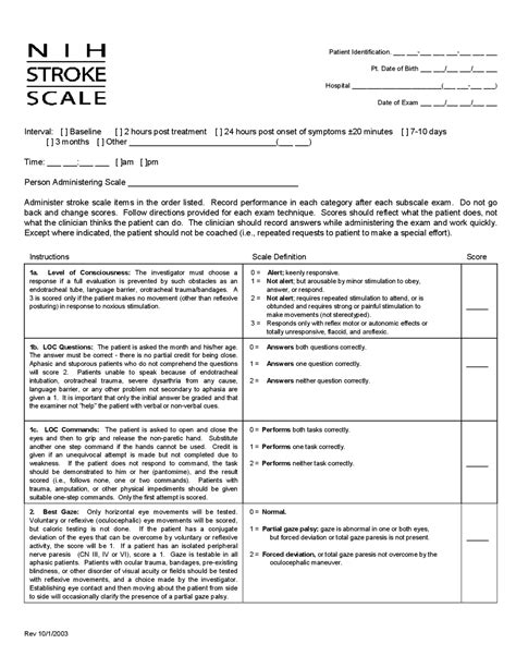 Nih Stroke Scale Cheat Sheet