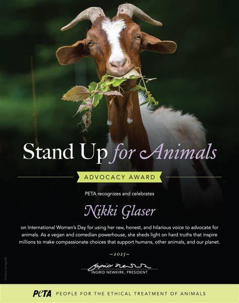 nikki glaser nude peta