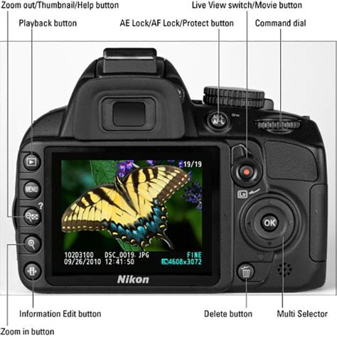 Nikon D3100 Guide To Digital Slr Photography By David D Busch