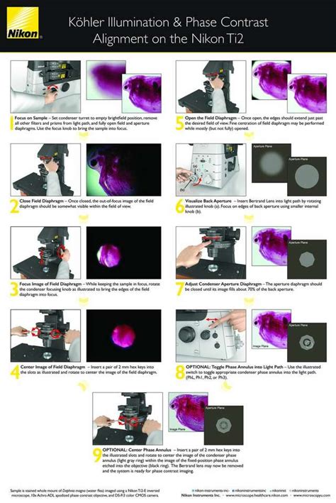 Read Online Nikon Alignment Marks 