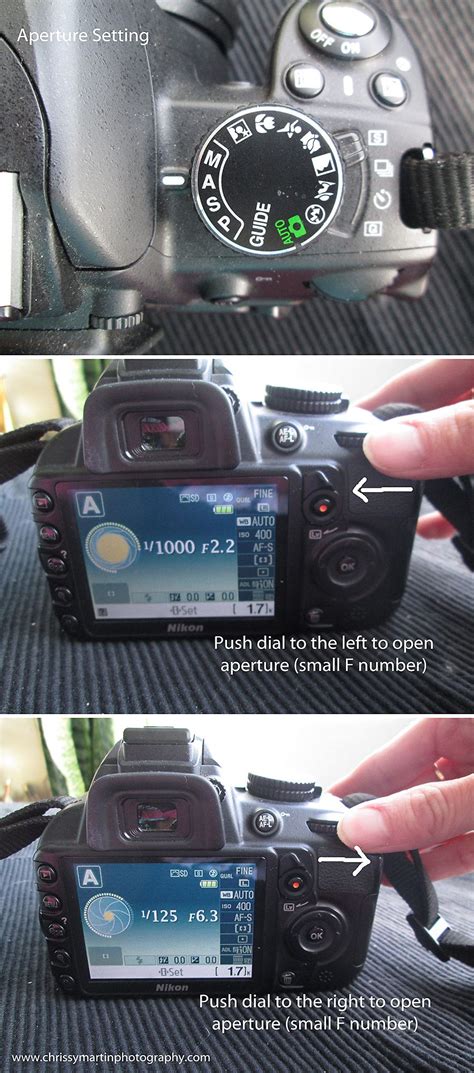 Full Download Nikon D3100 Settings Guide 