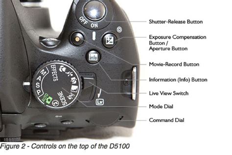 Read Online Nikon D5100 Quick Guide 