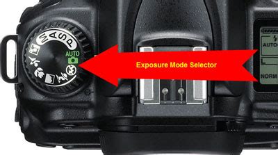 Download Nikon D90 Automatic Exposure Mode Quick Guide 
