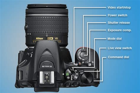 Read Nikon Digital Slr Guide 