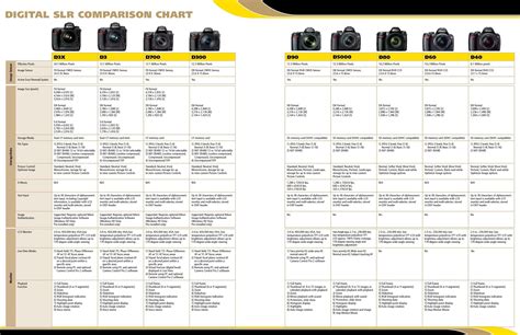 Read Nikon Dslr Comparison Guide 