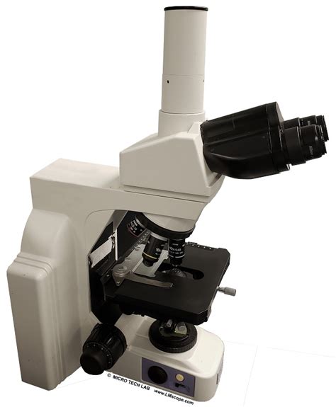 Read Nikon E400 Microscope Manual 