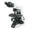 Read Nikon E400 Microscope Manual 