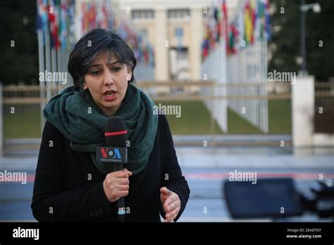 niloofar pourebrahim biography