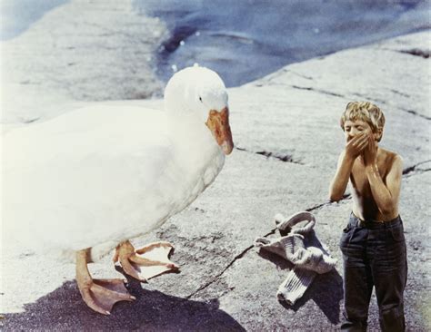 nils holgerssons underbara  utflykt halland