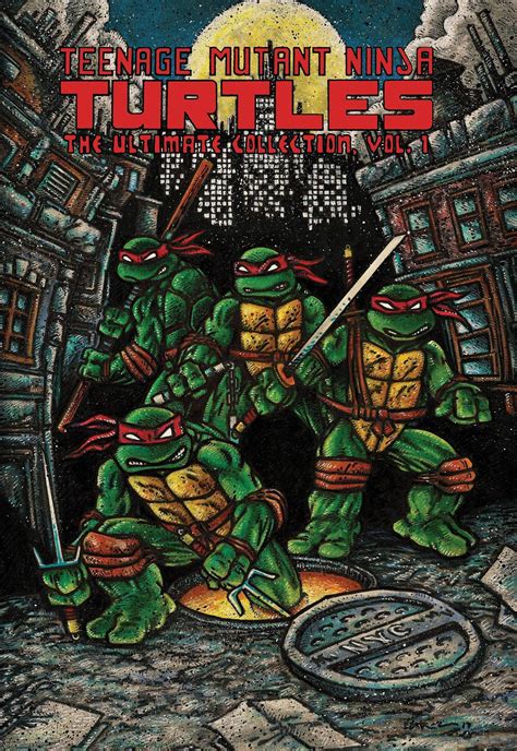 Ninja Turtle Books
