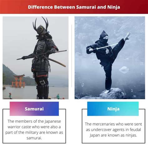 Ninja Vs Samurai Difference