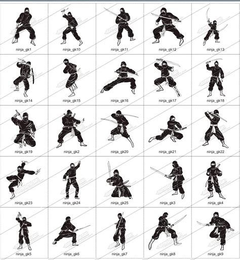 Ninjutsu Techniques