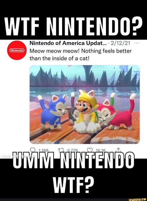 Nintendo Cat Memes