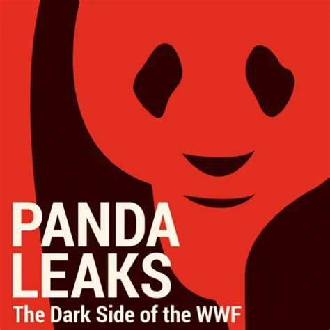 Nintendo panda leaks