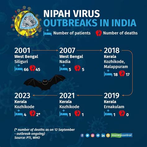 Nipah Virus Outbreak In India What Are Its Xxiii 2018 Full China - Xxiii 2018 Full China