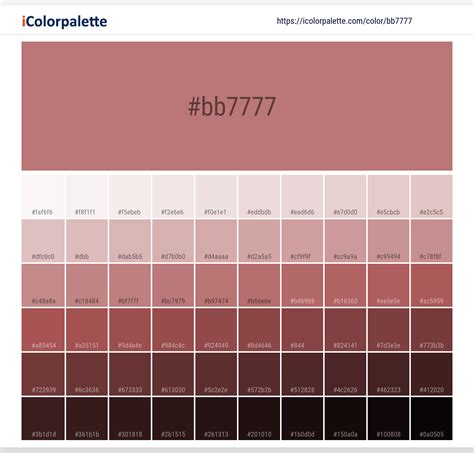 nipple colors