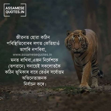 Niribili Assam Quotes