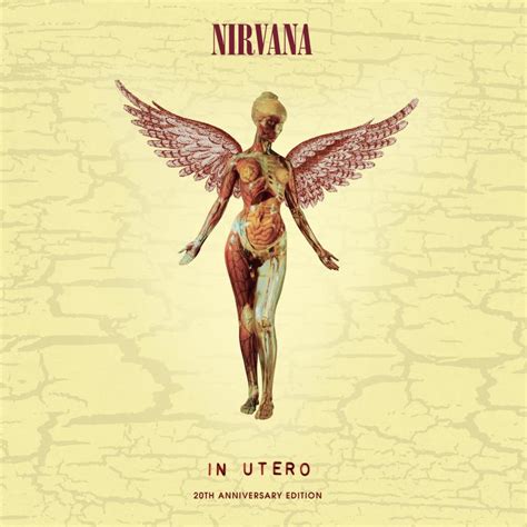 nirvana in utero album zip