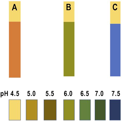 Full Download Nitrazine Paper Test Results 