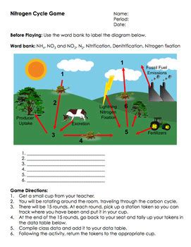 Nitrogen Cycle Game By Science Lessons That Rock Oxygen Cycle Worksheet 7th Grade - Oxygen Cycle Worksheet 7th Grade