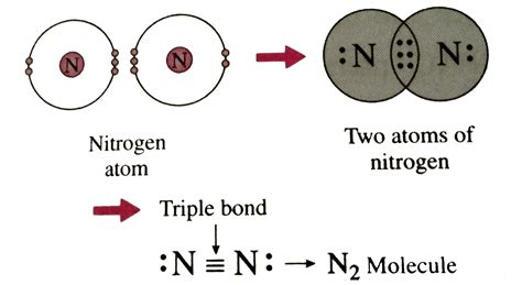 Nitrogen Triple Bond