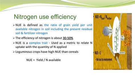Nitrogen Use Efficiency