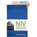Download Niv Bible Study Commentary 