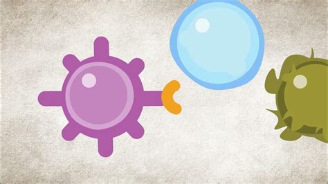 njurcancer immunterapi