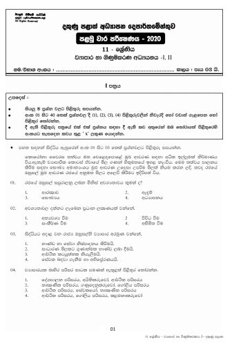 Download Nkangala District Question Paper 