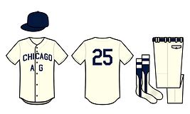 nlb uniform database