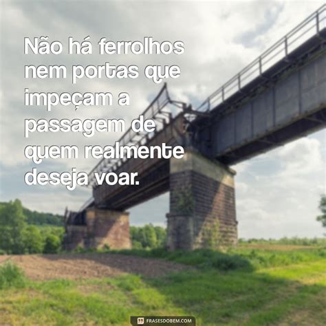 Não A Ferrolhos