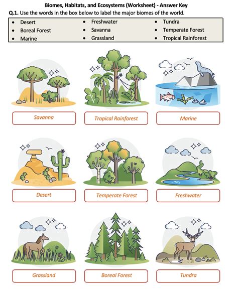 No Foss Answer Sheets Ecosystems And Population