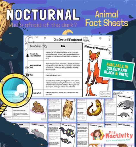 Full Download Nocturnal Animals Ks1 Sats Paper 