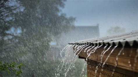 Noise Of Rain