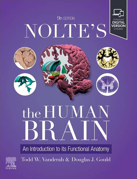 Nolte Human Brain Anatomy