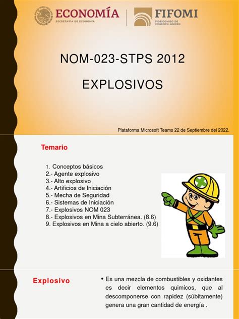 Nom 023 Stps